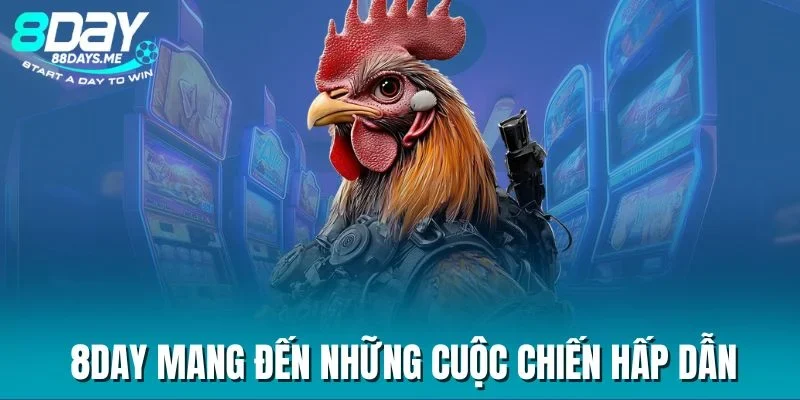 8DAY mang đến những cuộc chiến hấp dẫn 8DAY mang đến những cuộc chiến hấp dẫn