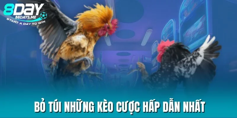 Bỏ túi những kèo cược hấp dẫn nhất Bỏ túi những kèo cược hấp dẫn nhất