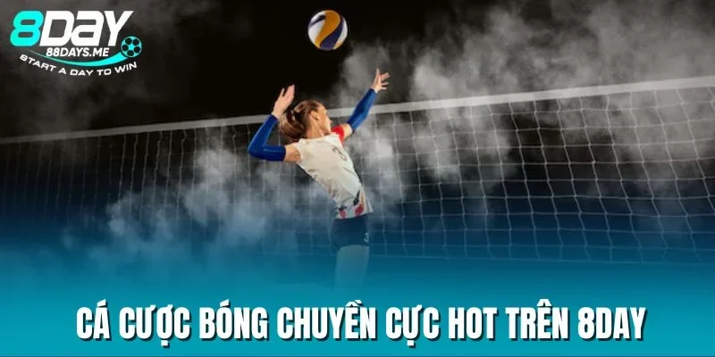 Cá cược bóng chuyền cực hot trên 8DAY Cá cược bóng chuyền cực hot trên 8DAY