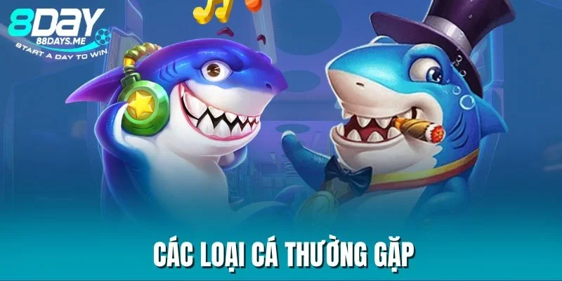 cac-loai-ca-thuong-gap