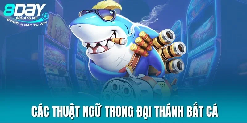 Các thuật ngữ trong Đại Thánh Bắt Cá Các thuật ngữ trong Đại Thánh Bắt Cá