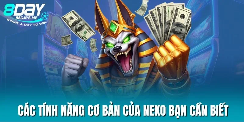Các tính năng cơ bản của neko bạn cần biết Các tính năng cơ bản của neko bạn cần biết