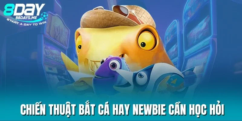 Chiến thuật bắt cá hay newbie cần học hỏi Chiến thuật bắt cá hay newbie cần học hỏi