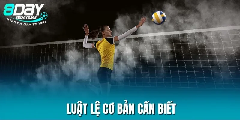 Luật lệ cơ bản cần biết Luật lệ cơ bản cần biết