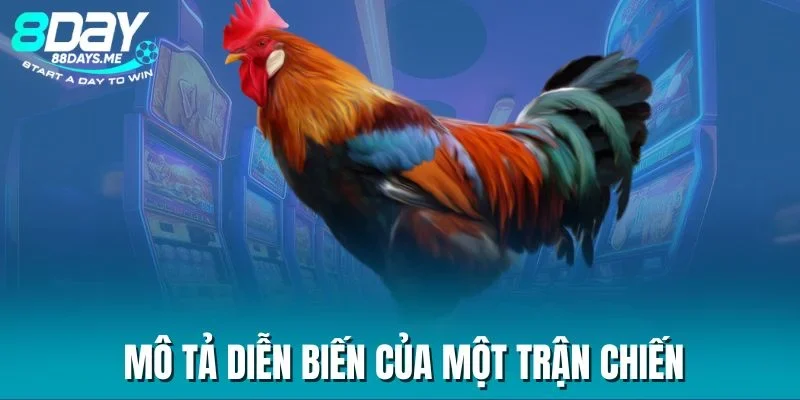 Mô tả diễn biến của một trận chiến Mô tả diễn biến của một trận chiến