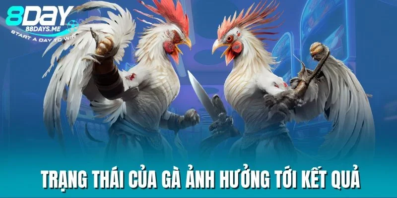 Trạng thái của gà ảnh hưởng tới kết quả Trạng thái của gà ảnh hưởng tới kết quả