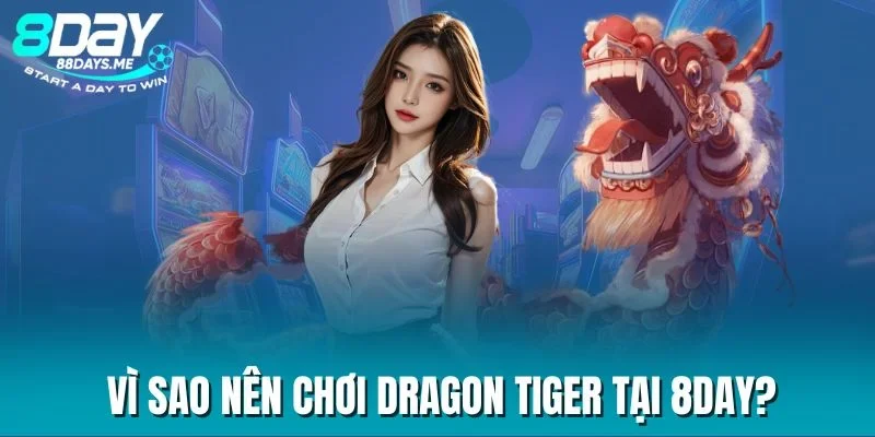 Vì sao nên chơi Dragon Tiger tại 8DAY? Vì sao nên chơi Dragon Tiger tại 8DAY?
